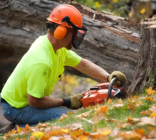 tree services Holtsville